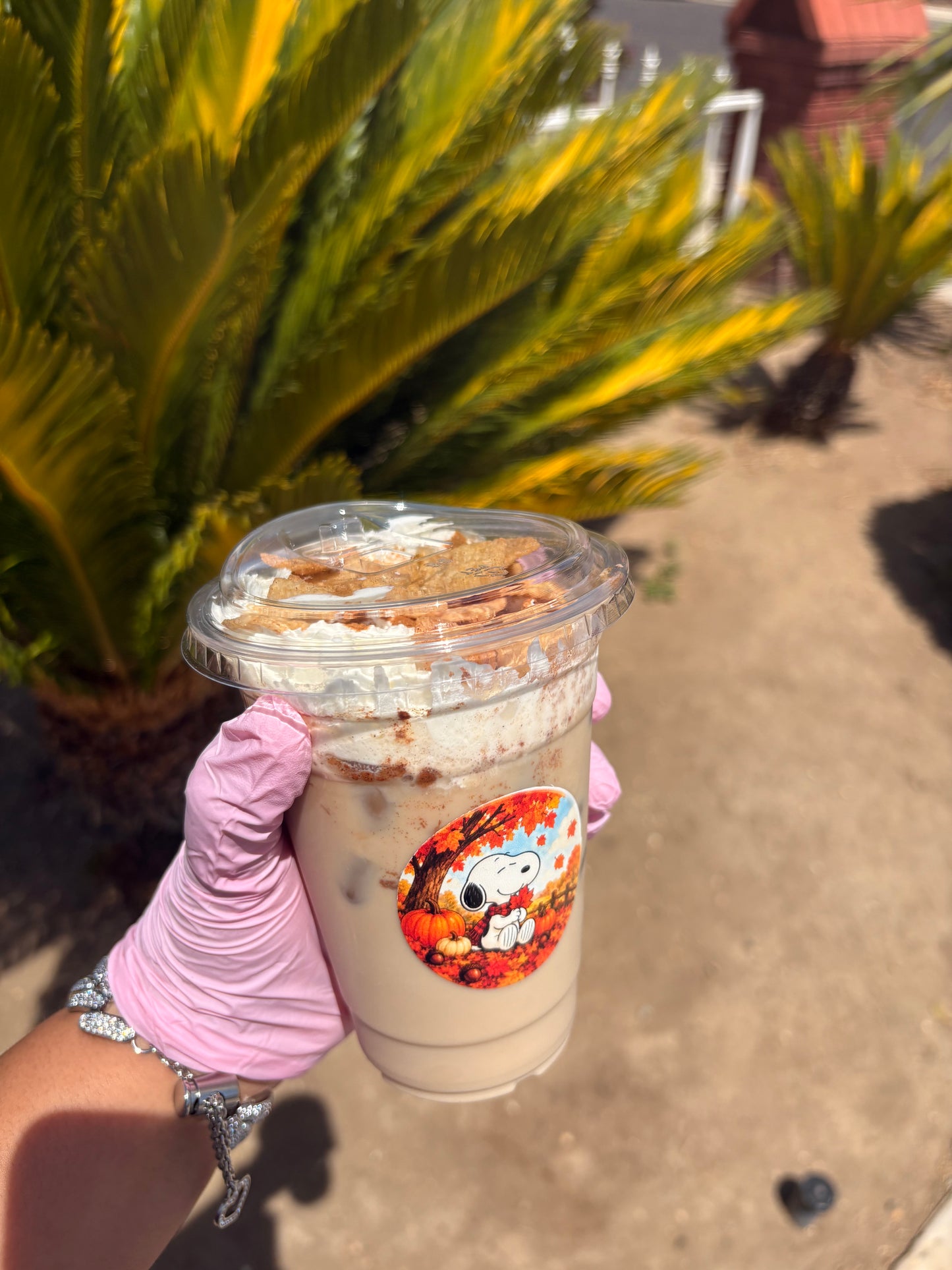 Snoopy Cinnamon Toast πΆ