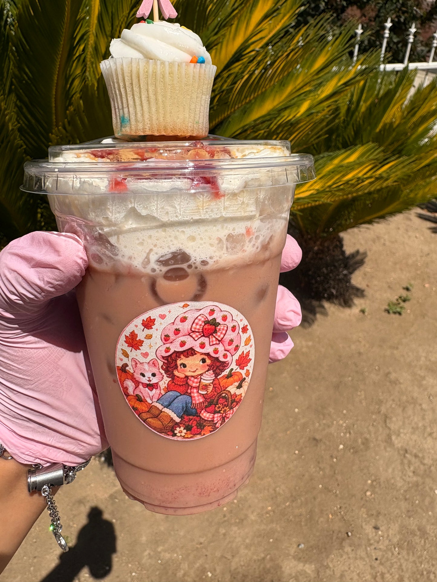 Strawberry Shortcake Fall🍰