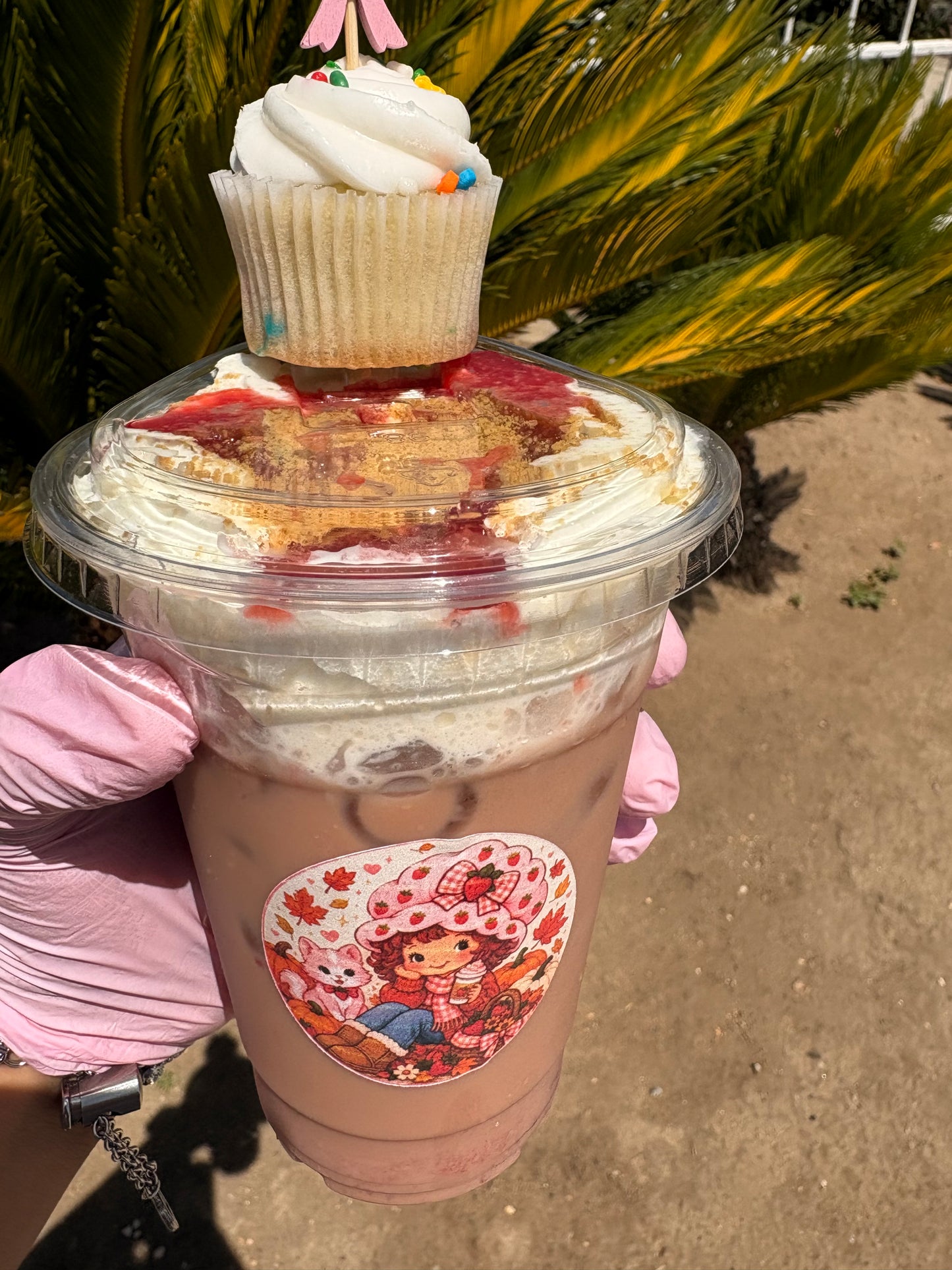 Strawberry Shortcake Fall🍰